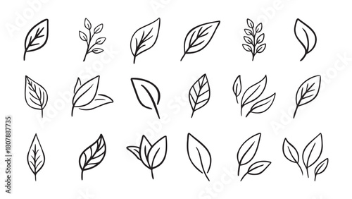 Hand drawn leaf eco set. Black line doodle leaf icons