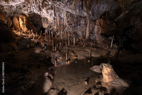 Postojna, Tropfsteinhöhle, Postojnska jama, Adelsberg, Slovenien, 27.10.2025 < english> Postojna, stalactite cave, Postojnska jama, Adelsberg, Slovenia, October 27, 2025
