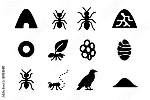 Ant Mound Icons. Ant Mound. Solid icon set of Ant Mound: anthill, worker ant, queen icon, tunnel cross-section, entrance hole, leaf carry, egg cluster, pupa,