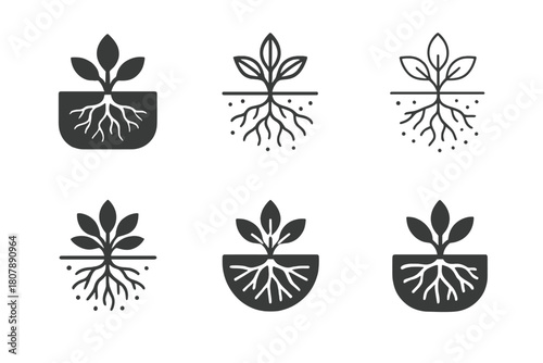 Invasive Species Icons. Invasive species. Icon set. Set Logo of invasive species: roots and branches intertwining unnaturally. harmonious logo variations of