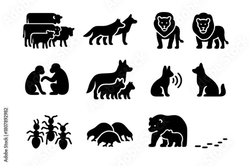 Black Social Animal Icons. Social Animals. Solid icon set of Social Animals: herd, pack, pride, colony, grooming pair, leader icon, communication sound,
