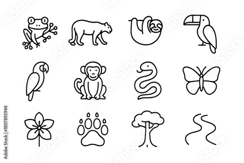 Rainforest Icon Set. Rainforest ecosystem. Line icon set of Rainforest ecosystem: jaguar, toucan, macaw, sloth, tree frog, monkey, snake, butterfly, exotic