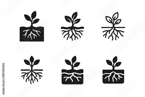 Invasive Species Icons. Invasive species. Icon set. Set Logo of invasive species: roots and branches intertwining unnaturally. harmonious logo variations of