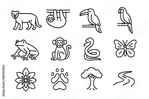 Rainforest Animal Icons. Rainforest animals. Line icon set of Rainforest animals: jaguar, sloth, toucan, macaw, tree frog, monkey, snake, butterfly, exotic