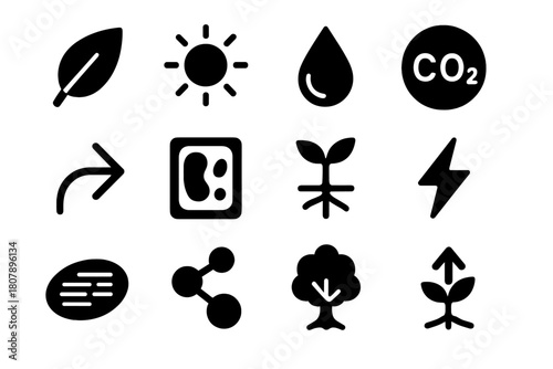Photosynthesis Icon Set. Photosynthesis. Solid icon set of Photosynthesis: leaf, sunlight, water droplet, carbon dioxide bubble, oxygen arrow, plant cell, root
