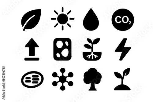 Photosynthesis Icon Set. Photosynthesis. Solid icon set of Photosynthesis: leaf, sunlight, water droplet, carbon dioxide bubble, oxygen arrow, plant cell, root