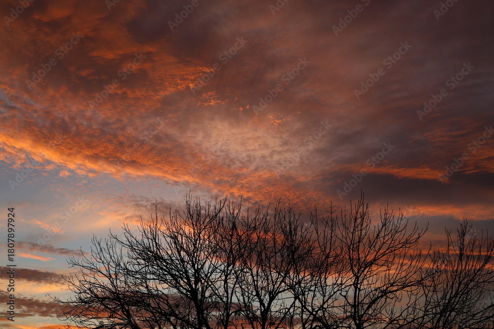 Obraz premium Lever de soleil rosé à Genève vu depuis un appartement