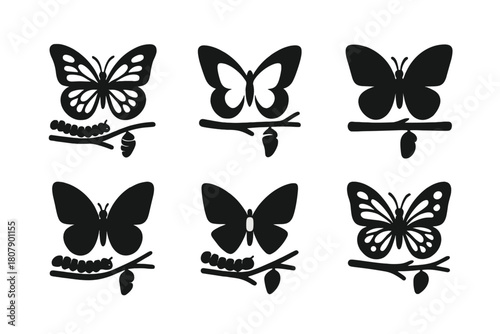 Caterpillar Logos Evolution. Life of a caterpillar. Icon set. Set Logo of Life of a caterpillar: emerging butterfly. harmonious logo variations of the same