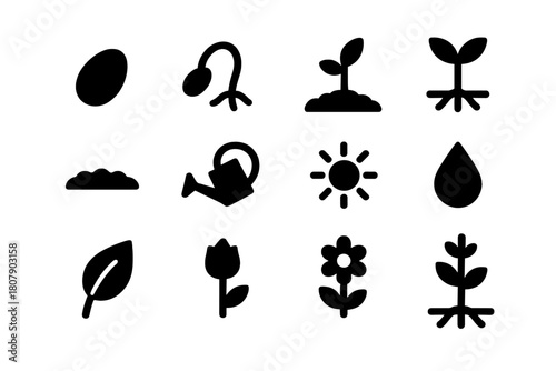 Seed to Plant Icons. How a Seed Grows into a Plant. Solid icon set of How a Seed Grows into a Plant: seed, sprout, root, seedling, soil, watering