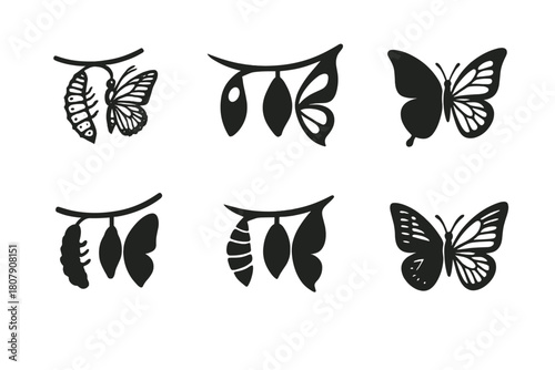 Caterpillar Logos Evolution. Life of a caterpillar. Icon set. Set Logo of Life of a caterpillar: emerging butterfly. harmonious logo variations of the same
