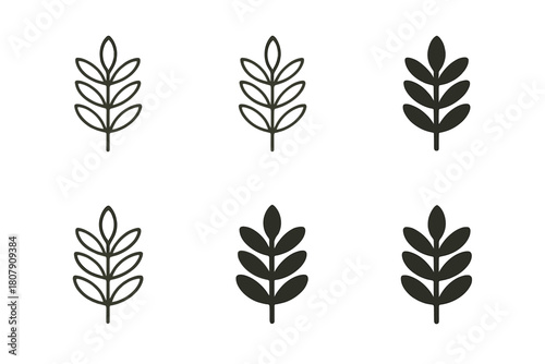 Acacia Logo Variations. Acacia. Icon set. Set Logo of Acacia: Acacia silhouette at sunset. harmonious logo variations of the same emblematic concept (Abstract