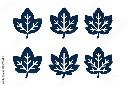 Frosted Leaf Icons. Ice crystals on a frozen pond. Icon set. Set Logo of Frosted Leaves: Leaves frozen on surface. Negative space, Symmetrical form, Flat
