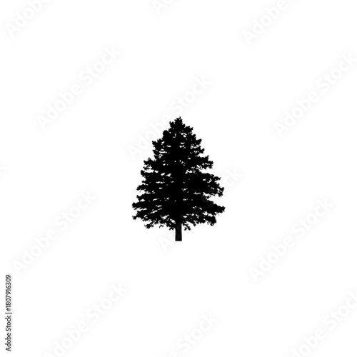 A silhouette of a pine tree with a conical shape and dense branches against a plain white background space