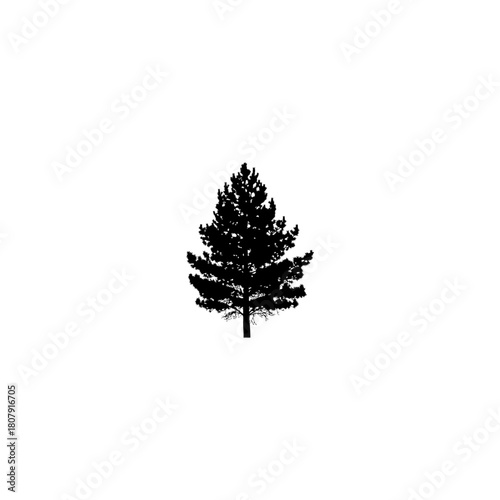 A stark silhouette of a solitary pine tree standing against a plain white background in minimalist style