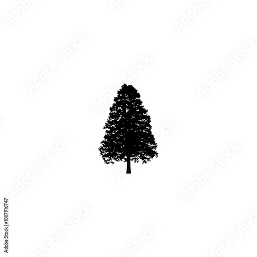 A solitary tree silhouette stands prominently against a stark white background creating a minimalist image style
