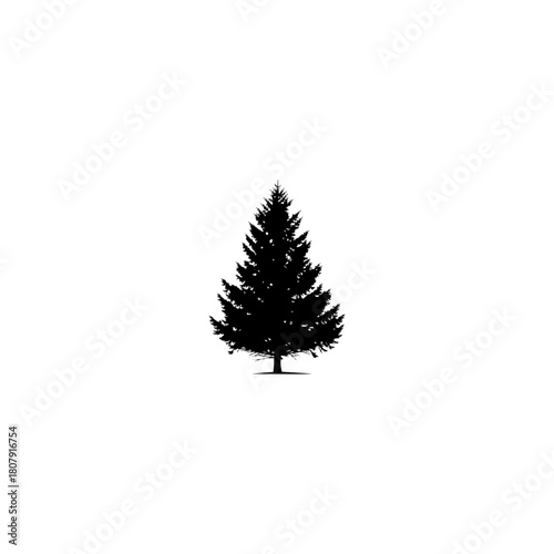 A minimalist silhouette of a coniferous tree standing alone against a stark white background in simple design
