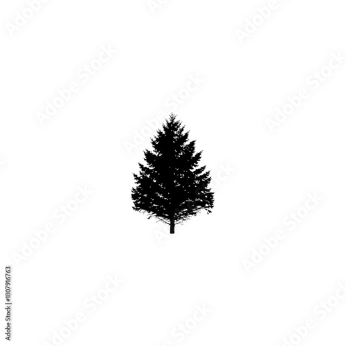 A stark silhouette of a coniferous tree standing alone against a bright white background in simple design