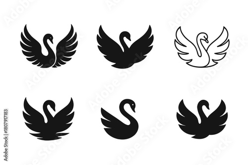 Swan Logo Variations. Swans. Icon set. Set Logo of swans: swan wings outstretched in symmetrical balance. harmonious logo variations of the same emblematic