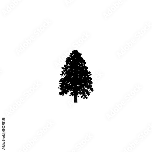 A solitary black silhouette of a coniferous tree stands against a stark white background in a minimalist style