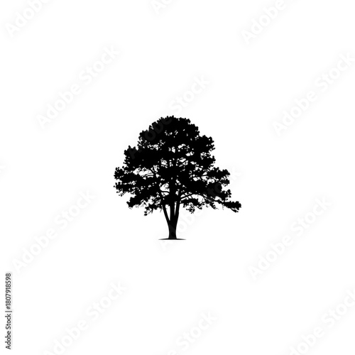 A solitary tree silhouette with detailed branches and leaves against a white background in monochrome style