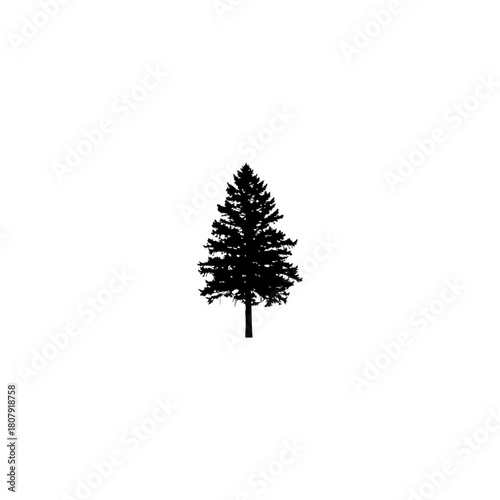 A simple silhouette of a pine tree with a classic conical shape isolated on a plain white background space
