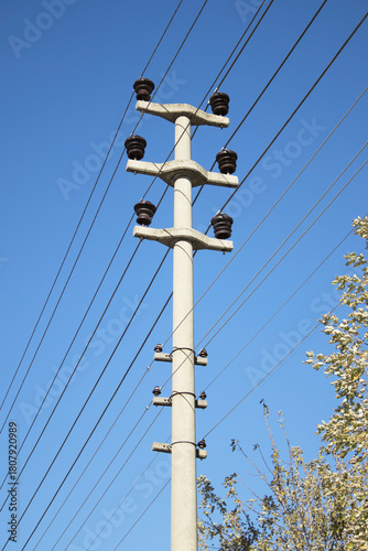Concrete utility pole carrying several parallel power lines under a cloudless blue sky, insulators and distribution hardware beside roadside trees. Electricity grid and connectivity concept.