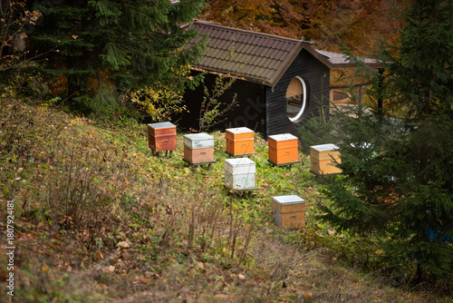 Bee hives on a meadow. Small business concept. Honey bees hive.