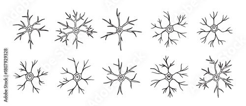 neurons or neuron cells doodle hand drawn icon set. Outline pyramidal neurons drawing line clipart symbol collection