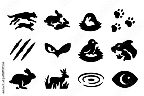 Predator and Prey Icons. Predator and Prey. Solid icon set of Predator and Prey: chase, pounce, hiding prey, footprint trail, claw mark, eye glare, nest
