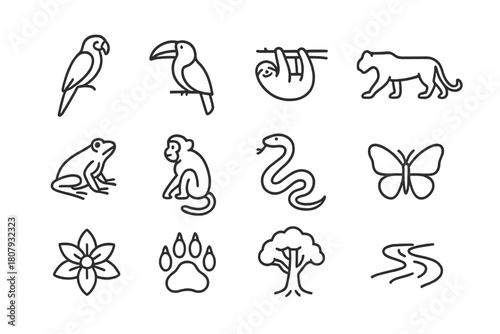 Tropical Animal Icons. Tropical animals. Line icon set of Tropical animals: sloth, jaguar, toucan, macaw, tree frog, monkey, snake, butterfly, exotic flower,