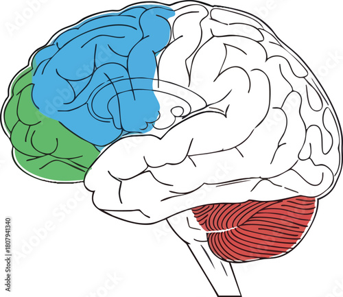 whisk_hwt7oz_via_RJ_Whisk_Auto-gigapixel-low resolution v2-2x