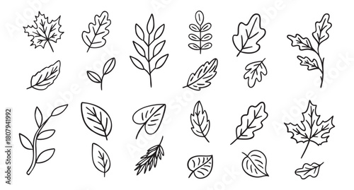 Cozy autumn doodle set of autumn leaves, line art monochrome hand drawn outline