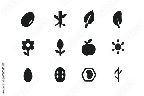 Plant Anatomy Icons. Plant Anatomy. Solid icon set of Plant Anatomy: seed, root, stem, leaf, flower, bud, fruit, pollen, petal, seed pod, cell structure, water