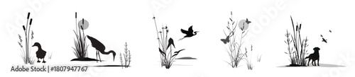 Ducks, herons and butterflies in marshland thickets (cattail, reed, cane, bluegrass, arrowhead, horsetail, other marsh grasses) and a duck hunting dog. Isolated silhouette landscapes. Drawings set.