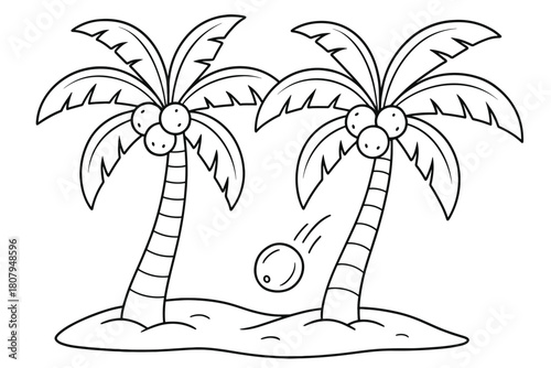 Coconut Palm Coloring. Coconut palms children?s coloring book illustration, outlined drawing, tall palm trees with coconuts hanging and one falling gently into