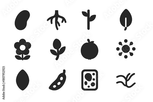Plant Anatomy Icons. Plant Anatomy. Solid icon set of Plant Anatomy: seed, root, stem, leaf, flower, bud, fruit, pollen, petal, seed pod, cell structure, water