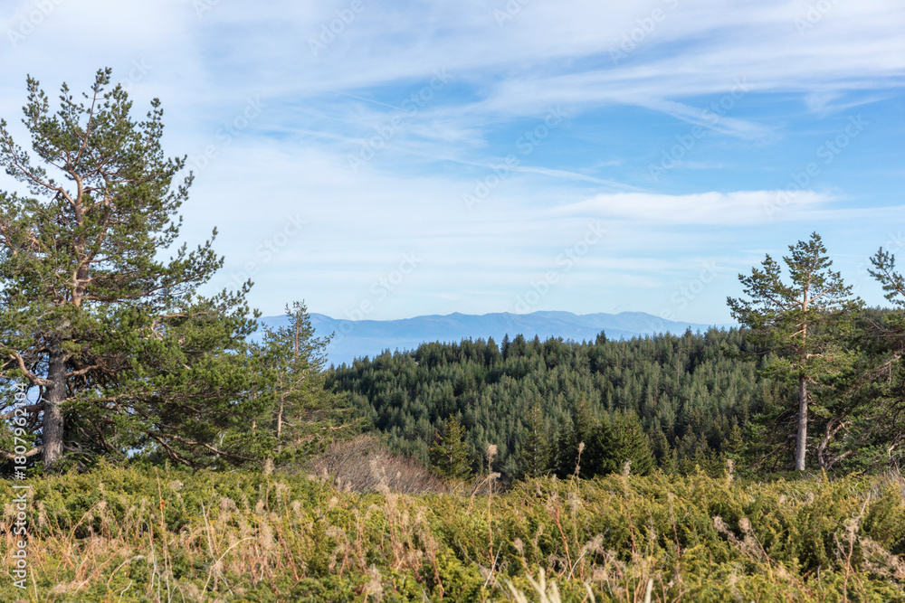 Fototapeta premium Landscape of Vitosha Mountain at Platoto area, Bulgaria