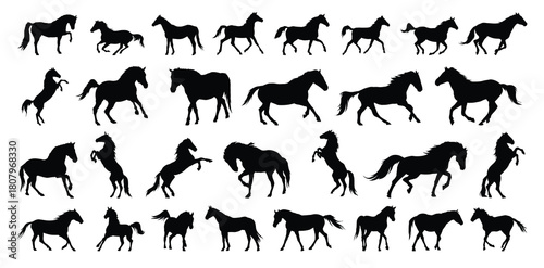 horse silhouette set. horse different poses isolated farm animal silhouette icon vector collection