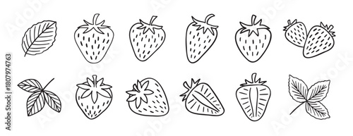 strawberry berries and leaves doodle hand drawn icon set. Outline drawing line clipart symbol collection.