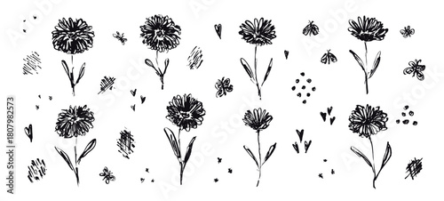 Sketch textured line brush stroke drawing black flowers. Delicate outline ink hand drawn floral elements, butterflies, shapes for women poster and feminine greeting card design, logo, tattoo