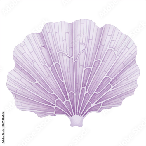 Fan Coral Watercolor Vector Isolated on White Background
