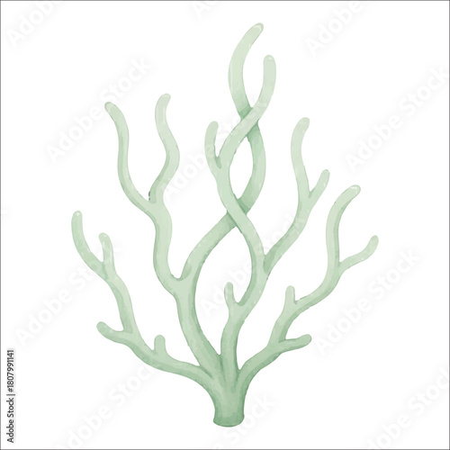 Coral Branch Watercolor Vector Isolated on White Background
