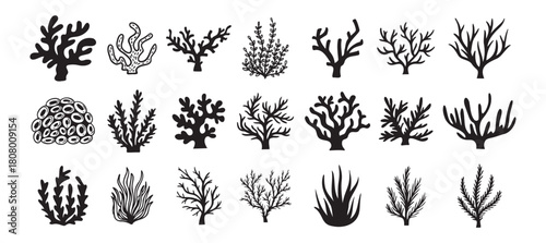 Coral silhouettes, seaweed black icon. Abstract organic corals shape, underwater plant, sea doodle. Cartoon marine floral isolated set 
