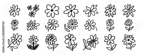 brush flowers daisies or camomile doodle hand drawn icon set. Outline drawing flower line clipart symbol collection