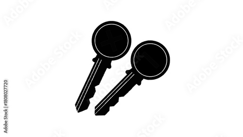 Vector illustration of two keys with plus and minus signs, symbolizing access control or options, isolated on transparent background 