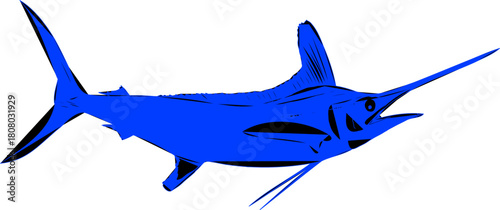 Blue silhouette and black outlined White Marlin fish