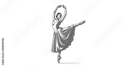 Adobe Illustrator Artwork