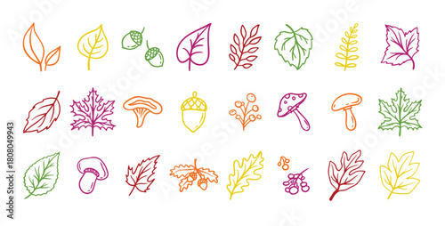 Autumn leaves outline doodle set. Botanical fall contour stickers. Vector leaf clipart drawings 