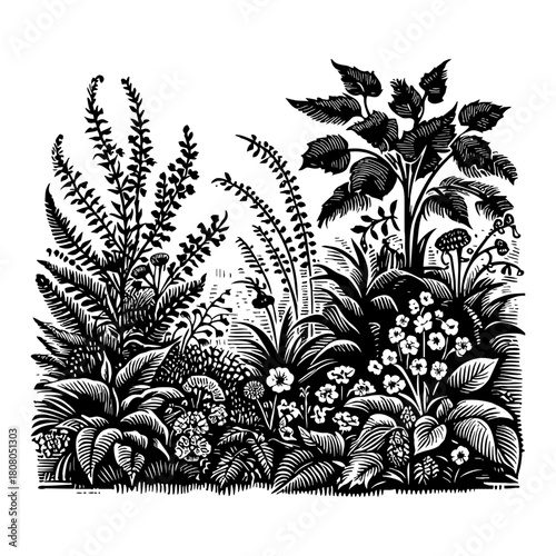 Lush Botanical Garden Foliage Floral Plants Arrangement Black and White Outline Line Art Drawing