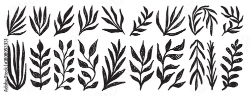 Plant silhouette leaves textured set. Leaves crayon hand drawn foliage simple collection. Trendy nature freehand rough grunge organic shapes.
